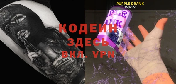 гидра Арсеньев