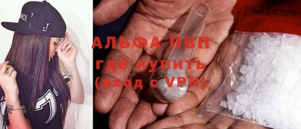 гидра Арсеньев