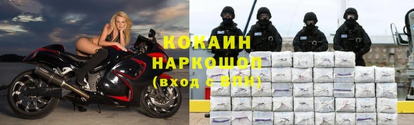 гидра Арсеньев