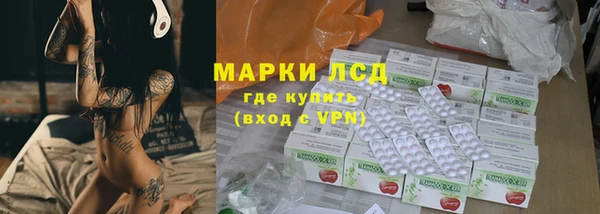 гидра Арсеньев