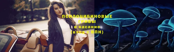 гидра Арсеньев