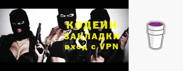 гидра Арсеньев