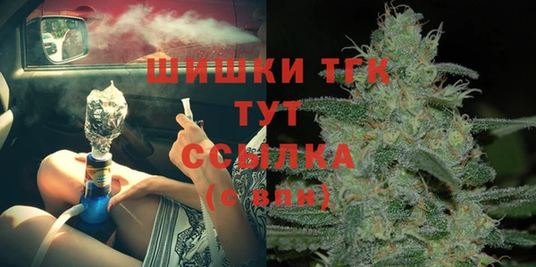 гидра Арсеньев