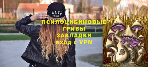 эйфоретик Аркадак