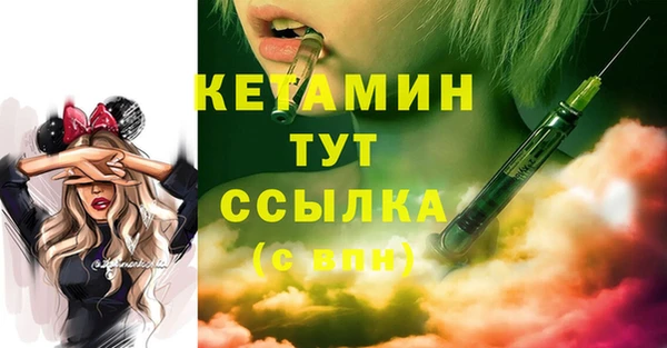 гидра Арсеньев