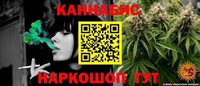 Альфа ПВП Ачхой-Мартан