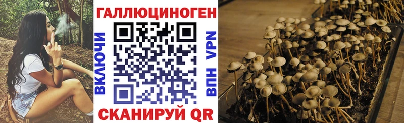 купить наркотик  Салават  darknet формула  Галлюциногенные грибы прущие грибы 