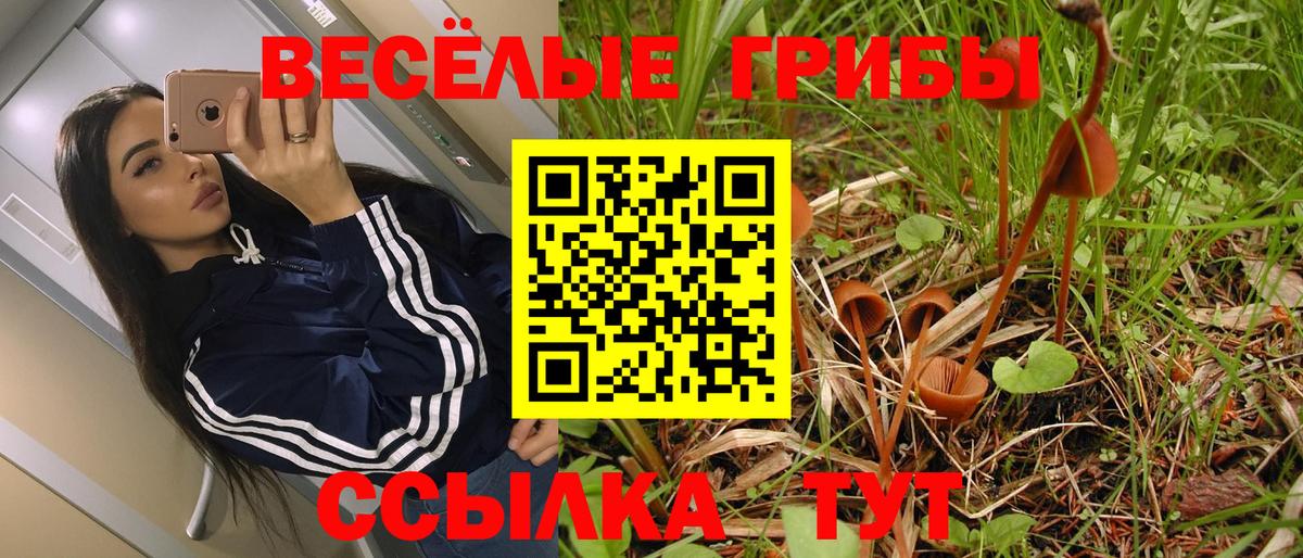Галлюциногенные грибы Cubensis  Вход с VPN  Салават  Галлюциногенные грибы Cubensis 